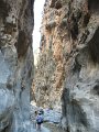 IMG_2246 - Copy